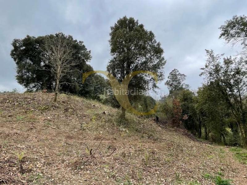 Foto 8c280fc6-1092-4997-86fe-a21129236482. Terreno residenziale in Selorio - Tornón Villaviciosa