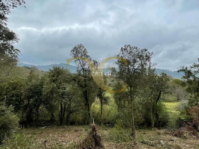 Foto d23adc77-4ae5-469d-bd8e-295b888543ce. Terreno residenziale in Selorio - Tornón Villaviciosa