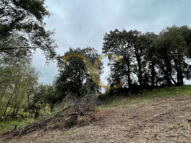 Foto e7545a7a-2ec8-4013-9772-1441ed9df7ee. Terreno residenziale in Selorio - Tornón Villaviciosa