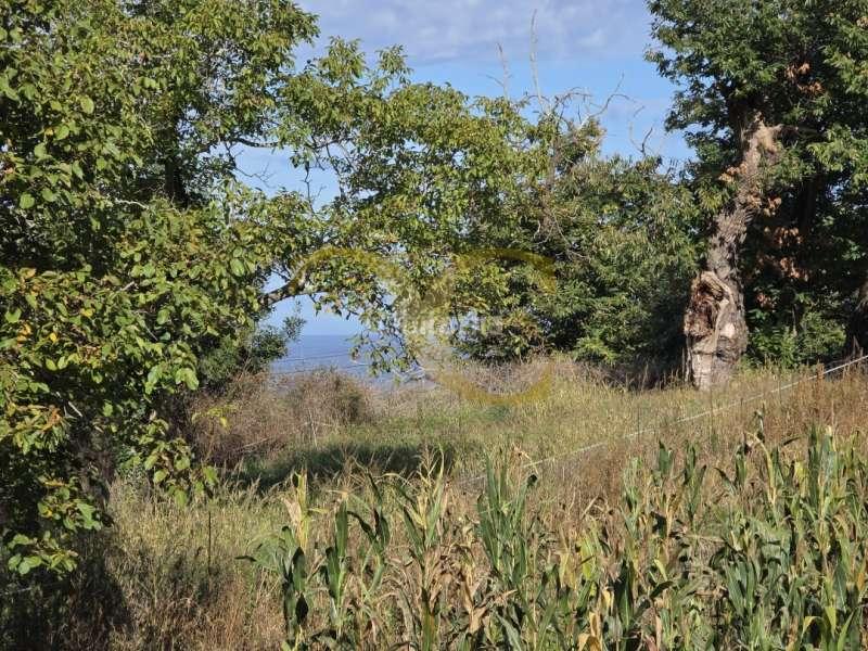 Foto 5d22c808-b5da-4df9-b861-09348d577828. Casa amb calefacció a Pría-Nueva-Hontoria-Naves Llanes