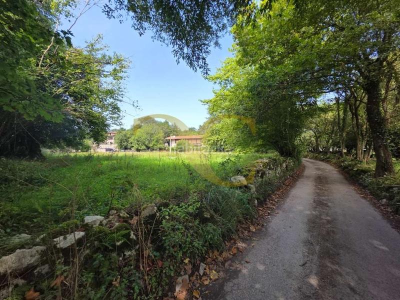 Foto 10737bde-ca11-4c84-9483-1a45626053b3. Terreno residenziale in Llanes pueblo Llanes