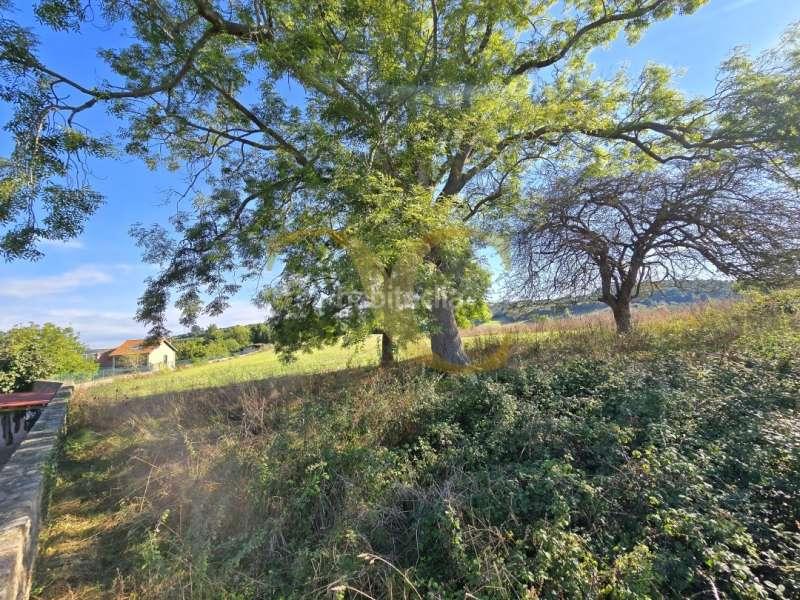 Foto 2e99c426-862f-4708-85b5-34239549102b. Terreny residencial a Cenero Gijón