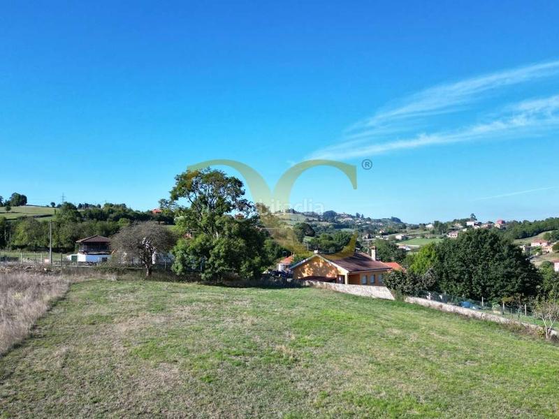Foto f0e2c3bc-ae11-4aa9-b0f6-51e87e29e138. Terreny residencial a Cenero Gijón