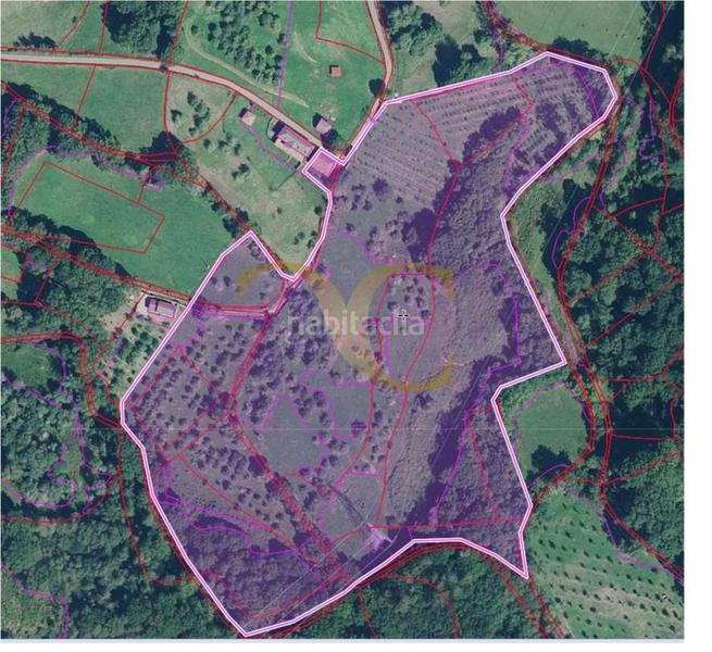 Foto a47dcbd9-112e-40d7-8ad9-078f509ed48e. Casa  para reformar con más de 7 hectáreas de terreno. en Piloña