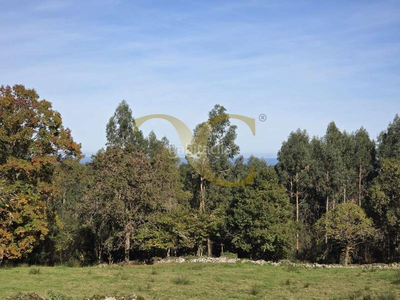 Foto 2ab3a266-10dc-4165-ab53-c81065f005a7. Casa espectacular propiedad a 4 kilómetros del centro . en Llanes