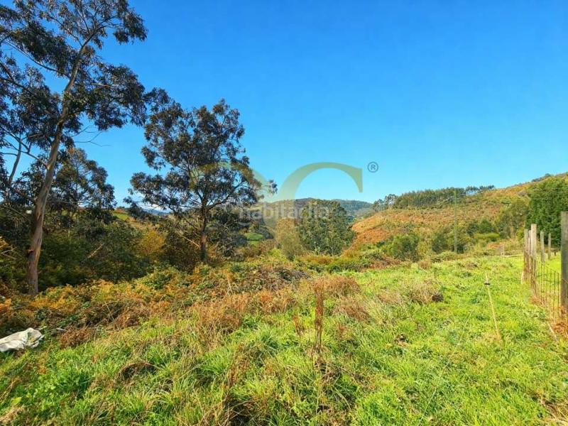 Foto c9790f04-c249-41c3-ad78-cba4e12dd46f. Casa con riscaldamento parcheggio in Quintes - Arroes Villaviciosa