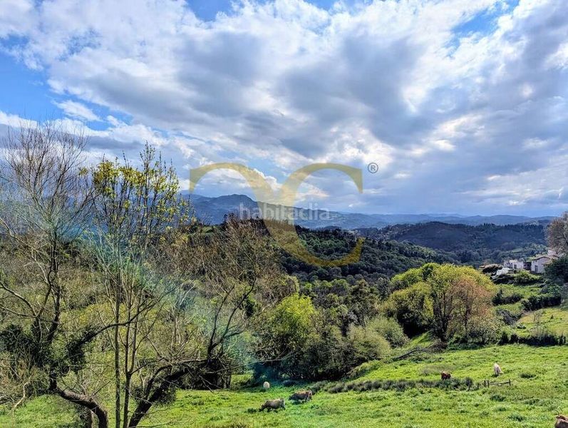 Foto a091d40c-36da-4b72-8f7c-83ff12002754. Casa amb calefacció aparcament a Cabranes