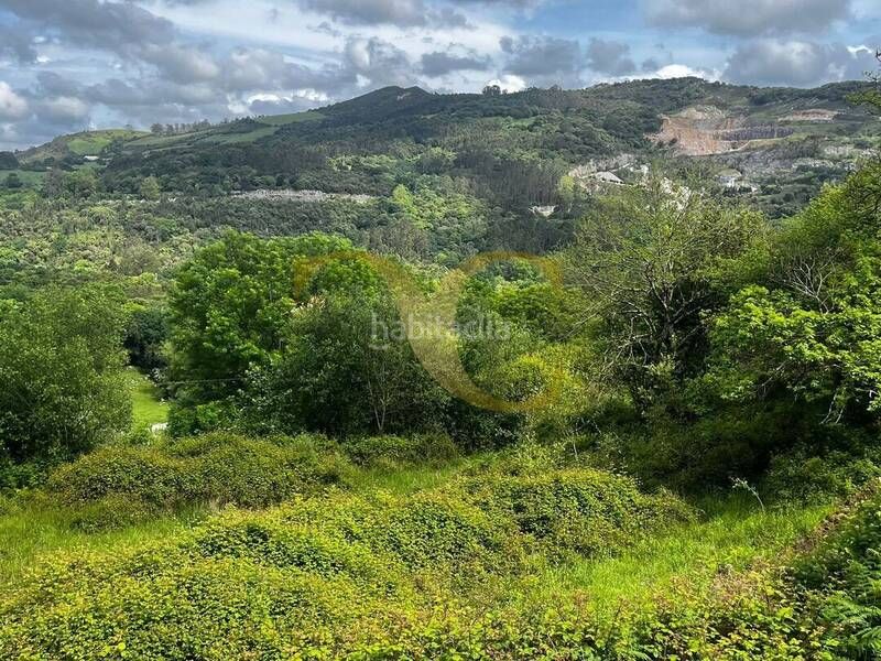 Foto 3bd8fb98-0b04-4310-b855-61887ae495b5. Finca rústica a Ribadedeva