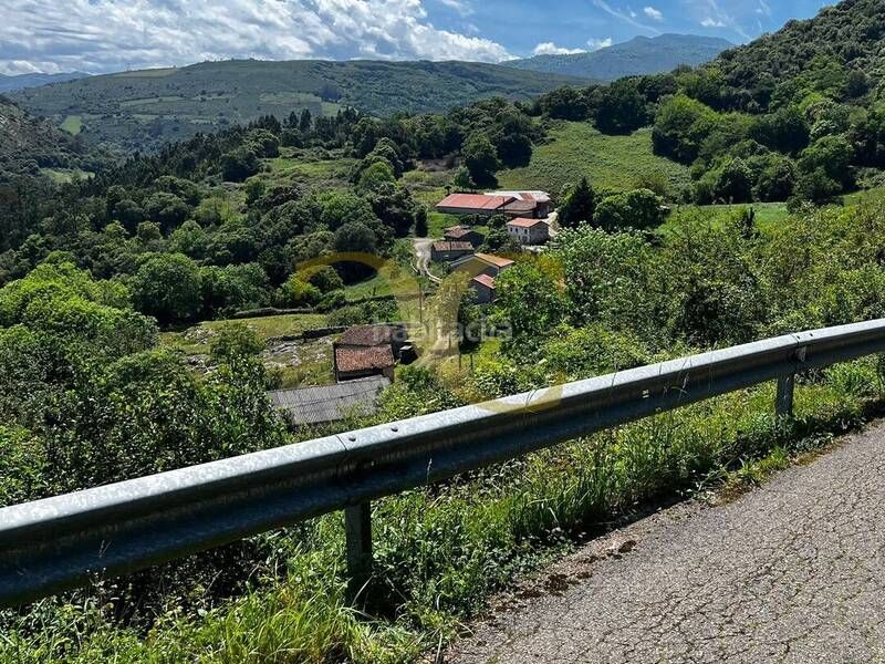 Foto 685ee1b0-f0a4-4e32-a4ac-a2ebebe413e8. Finca rústica a Ribadedeva
