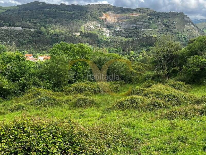 Foto 8f277a97-e32c-4003-ab61-4129b7d4cff7. Finca rústica a Ribadedeva