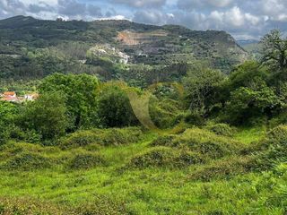 Finca rústica  Andinas. Más de 14 hectáreas en venta en el concejo de ribadedeva.