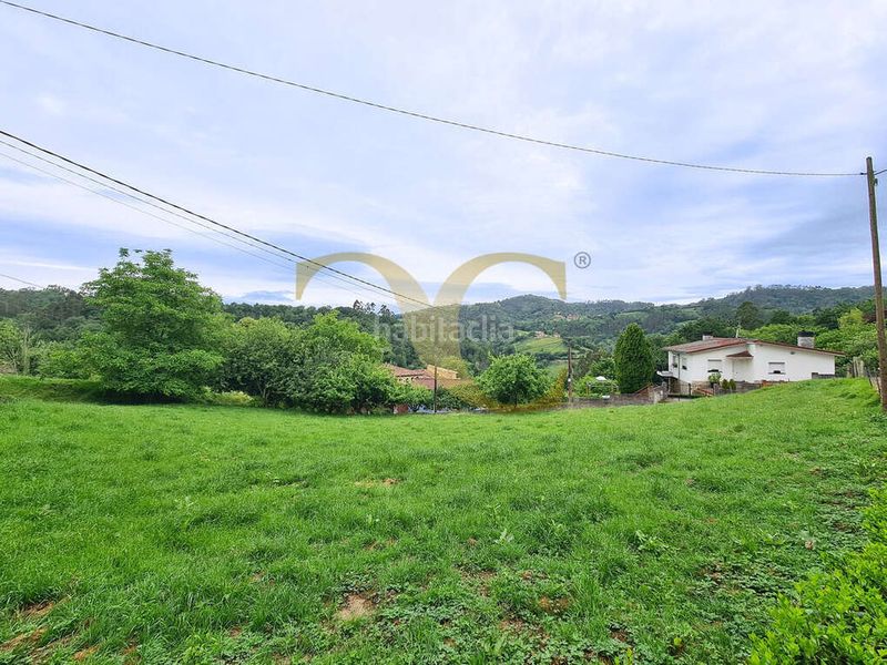Foto 429b24e2-f1fd-4b4a-be25-8d014dfe1f3b. Finca rústica a Cabranes