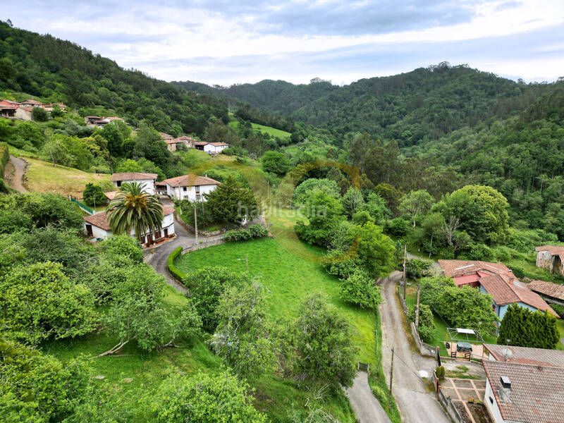 Foto 4d8227f2-372c-4f4c-b52c-1fc6ab306339. Finca rústica a Cabranes