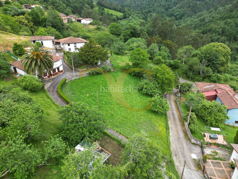 Foto b78bf5cf-d642-4c20-9669-480d25b984b9. Finca rústica a Cabranes