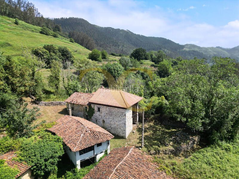 Foto 4ba5338e-6c79-4111-a8a1-5864f2eb35b2. Casa a Parres