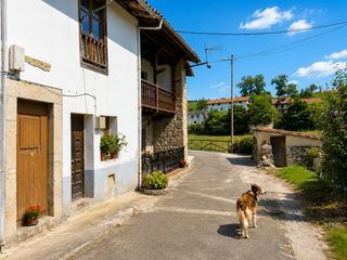 House  La borbolla. Exclusiva casa tradicional para rehabilitar en la borbolla.