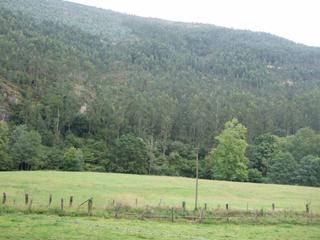 Finca rústica a Barrio labarces 70a. Terreno en labarces. cantabria