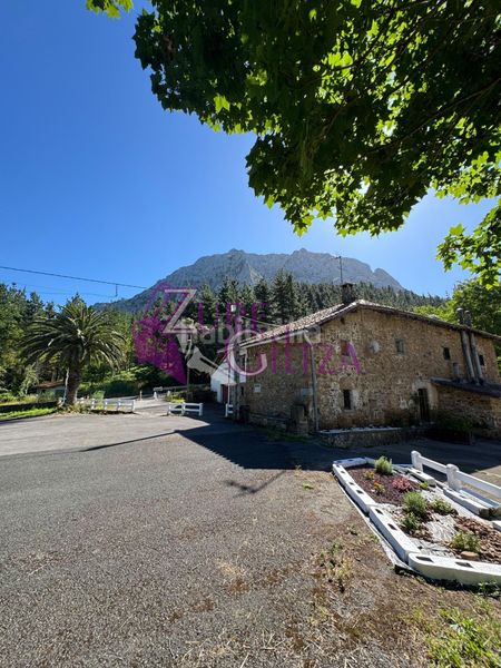 Foto ea01582a-6536-4054-86d1-42f0e1e1d048. Masia amb calefacció a Mañaria