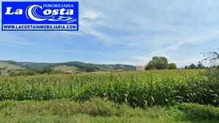 Terreny residencial  Barrio vista alegre. Castanedo. finca urbana 2.600m2