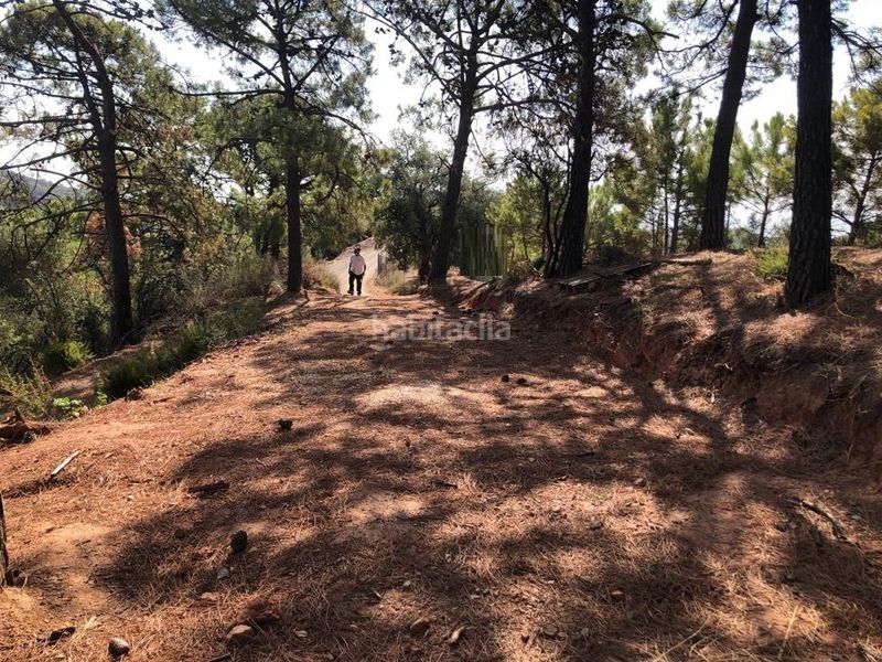 Foto 70a775eb-d2aa-4e06-a5ae-cca432d81ff5. Finca rústica a altos de Estepona Estepona