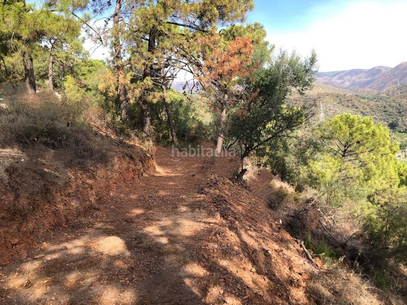 Foto 9b2af6b5-dd14-4564-97d9-bb229b0f7ac9. Finca rústica a altos de Estepona Estepona