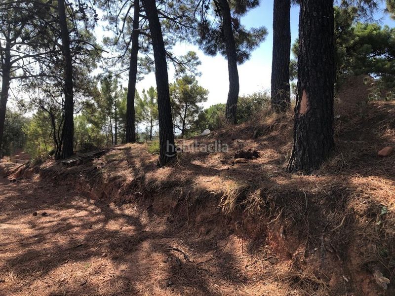 Foto a5be6f9d-4528-457a-92af-9a62b5c50bc6. Finca rústica a altos de Estepona Estepona