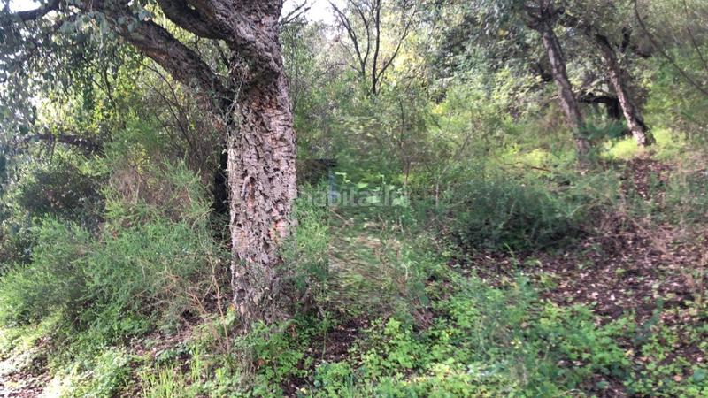 Foto 165cee9a-1b96-4d1c-bae2-87a22120f92c. Fondo rustico in altos de Estepona Estepona