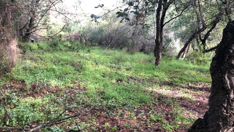 Foto 574f9d8a-f2a6-445e-a0f6-e711e4665112. Fondo rustico in altos de Estepona Estepona