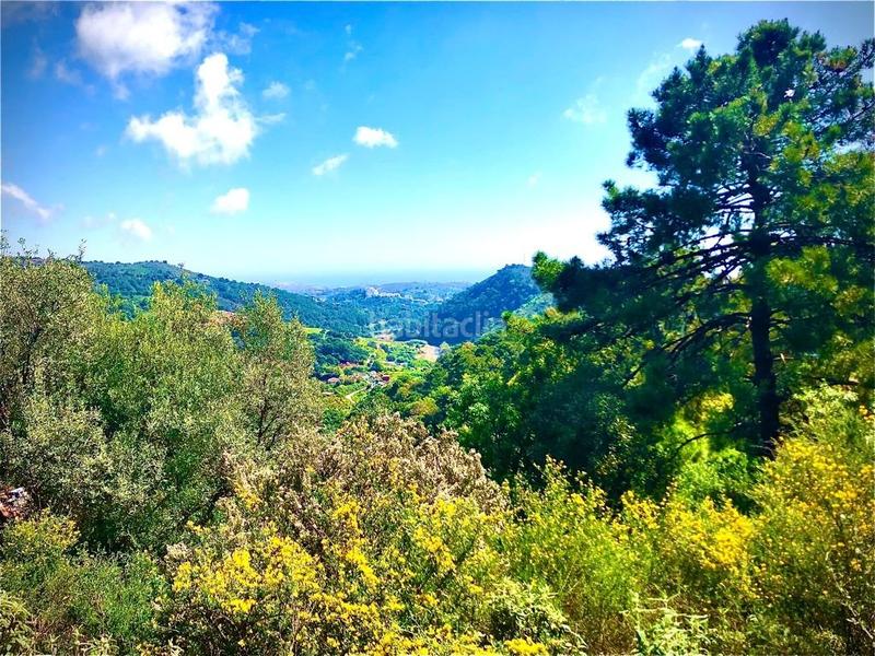 Foto bee0a7dc-3aba-423c-a6ba-6c99f88b9f16. Fondo rustico in altos de Estepona Estepona