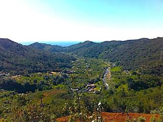 Fondo rustico in Altos de Estepona