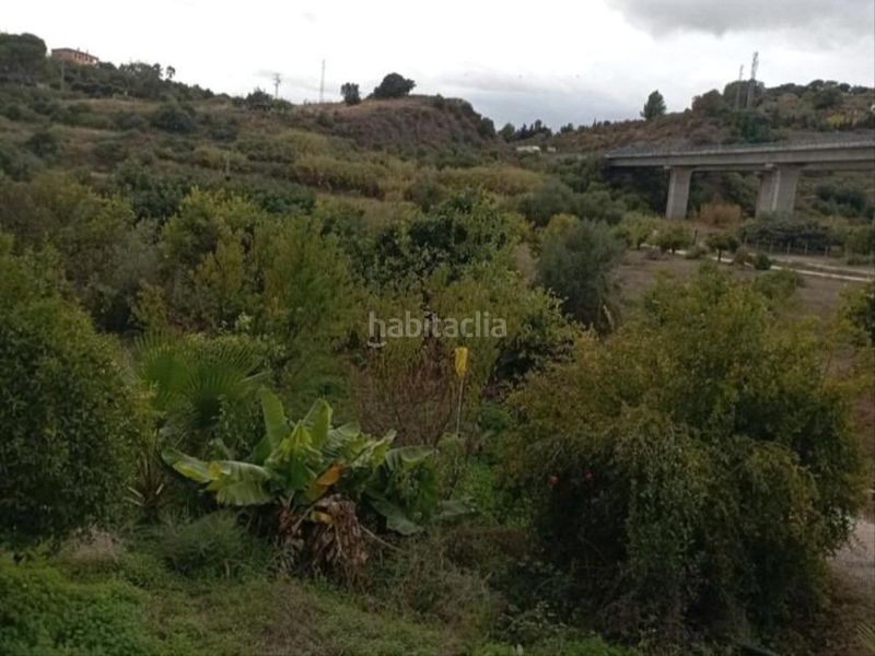 Foto 2dcf6903-b94d-481e-8ef7-1cb11cfd7578. Finca rústica a Cancelada Estepona