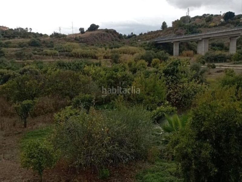 Foto 60022e24-3dc0-4264-8dc3-dccb4715fce7. Finca rústica a Cancelada Estepona