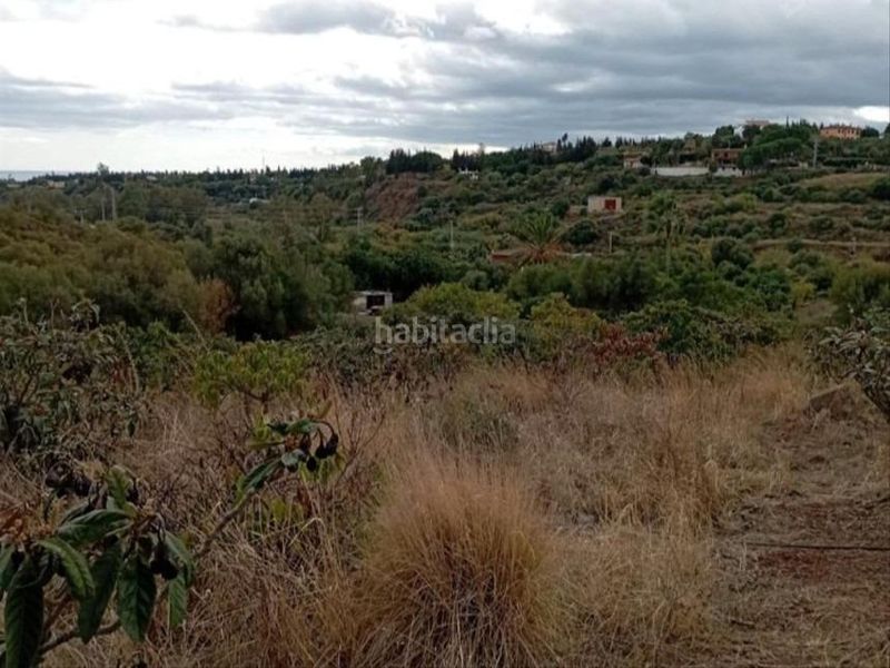 Foto d26f85b2-2f53-4b8a-89e7-c5174952fecd. Finca rústica a Cancelada Estepona