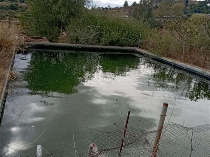 Foto e2f23230-285e-4ead-8582-0bf51a2a98ae. Finca rústica a Cancelada Estepona