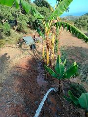 Fondo rustico in Altos de Estepona. Espectacular terreno en estepona con pozo y aljibe