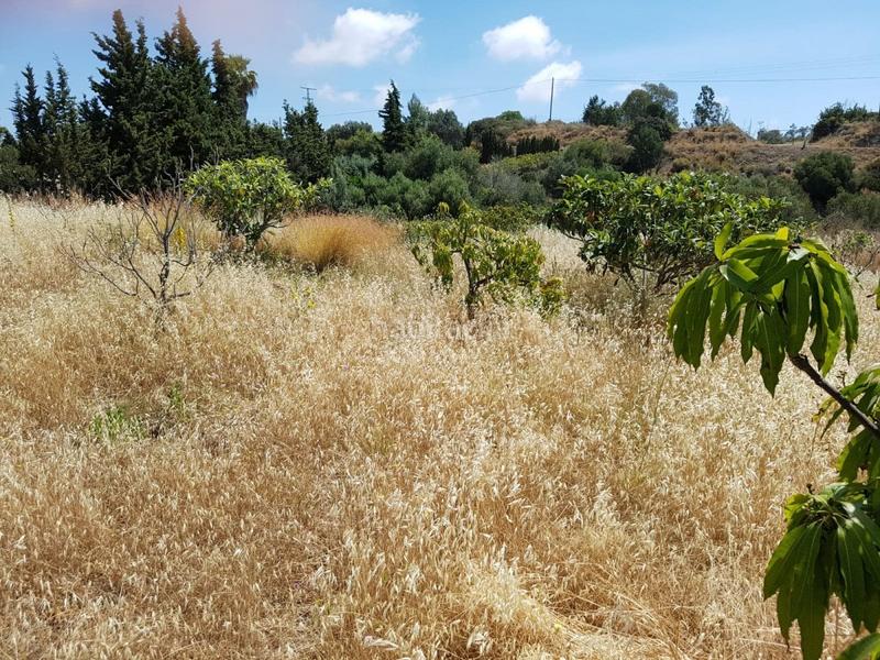 Foto 50de7158-bbf4-4952-9dc8-66ed5b1b5fed. Masia a Los Llanos Estepona