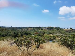 Mas à Los Llanos. Magnifica finca rustica en estepona