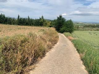 Residential Plot in Morentin