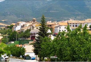Terreno residenziale in Yerri