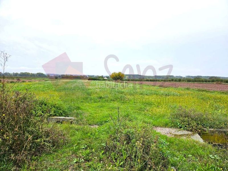 Foto 93a5c8ae-3659-4821-8f09-c072b0b311a9. Finca rústica a El Campillo - Norte Logroño