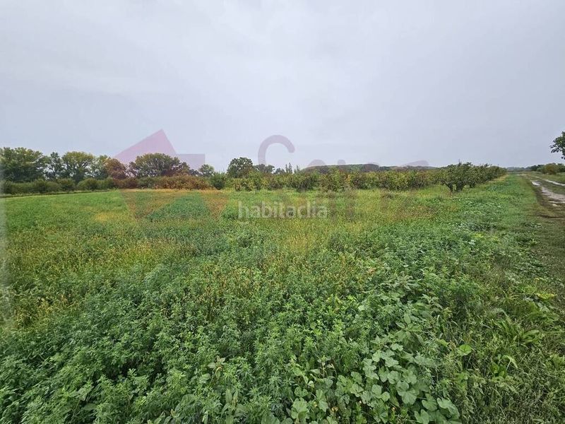 Foto d4b3ab50-3ab2-4560-bde5-409a810dde20. Finca rústica a Arrúbal