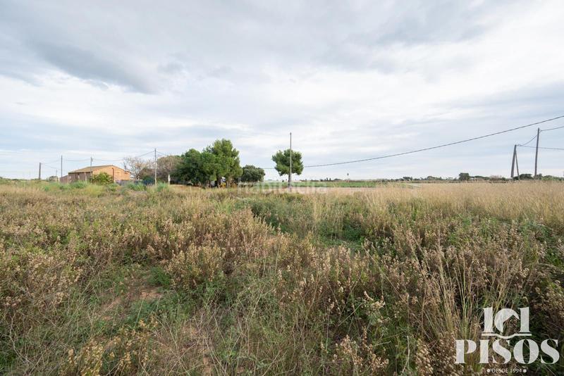 Foto 200a93bc-6865-4a80-bcd4-fcf8159fb880. Finca rústica a Centre-Estació Gavà