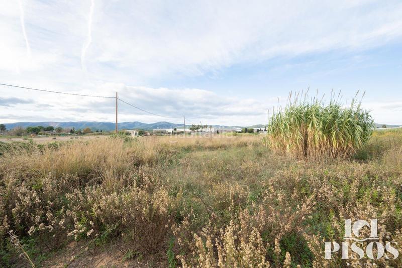 Foto 326efe55-2a5d-41f4-b3db-0dc36b7c1281. Finca rústica a Centre-Estació Gavà