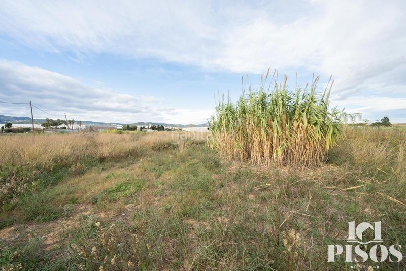 Foto 6dc73fb1-abe0-4638-a3ff-3929f7a9d65d. Finca rústica a Centre-Estació Gavà