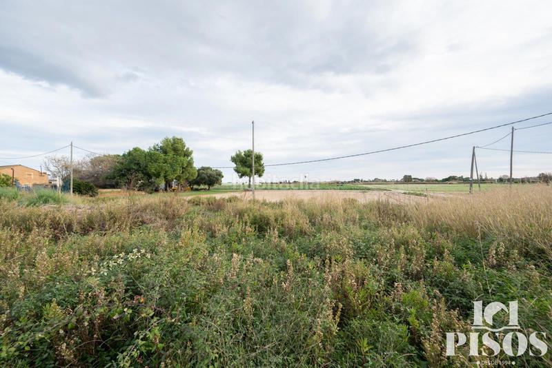 Foto 8411649b-a2b9-4323-8ee6-98cc55427cc2. Finca rústica a Centre-Estació Gavà