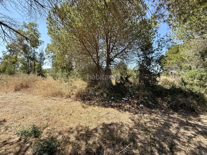 Foto 85de17e3-2d83-470c-b29f-f26a7142848a. Terreny residencial a Sotogrande alto Sotogrande