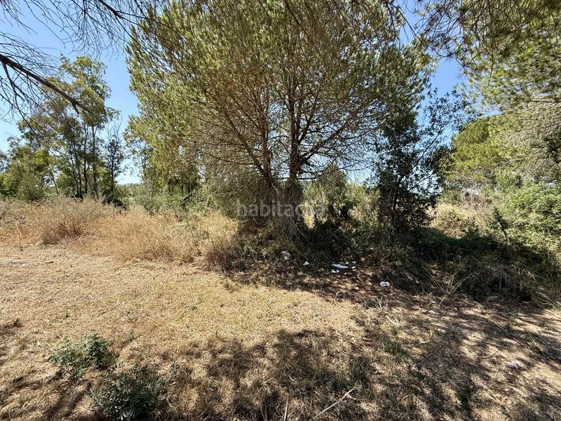 Foto 8829e15e-b5b7-4350-8041-282f4787b26c. Terreny residencial a Sotogrande alto Sotogrande