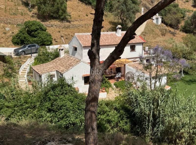 Foto 8bdad33b-2d2e-4e2b-a2b4-eaac82d4d2cc. Casa encantadora finca andaluza en venta en Casares pueblo Casares