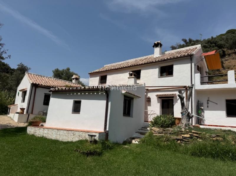 Foto e94e340d-5aca-4cd3-899f-af60b725f5b6. Casa encantadora finca andaluza en venta en Casares pueblo Casares