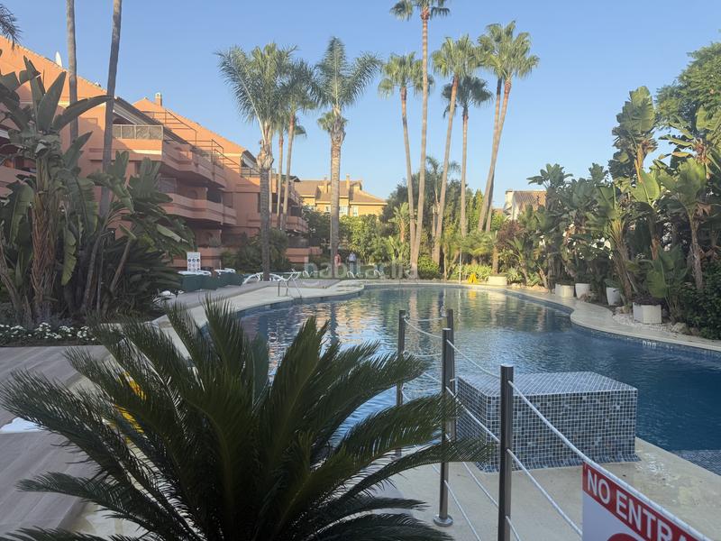 Foto 92c641d0-9673-429f-85d6-d23280ea91b6. Affitto piccolo appartamento con parcheggio piscina in Marbella